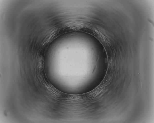 X0000096951012200802151232