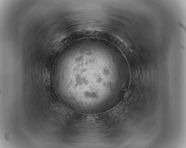 X0000096951013200802151232