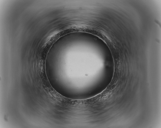 X0000096951016200802151232