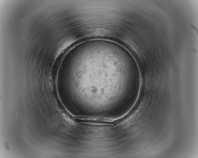 X0000096951018200802151232