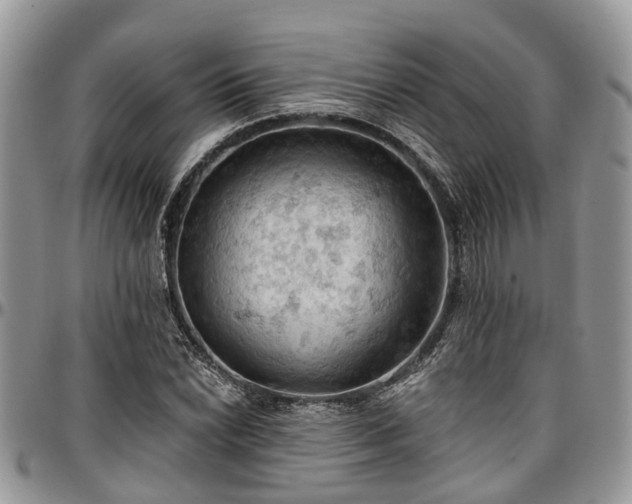 X0000096951022200802151232