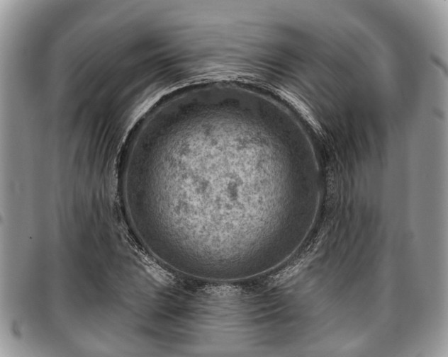 X0000096951023200802151232