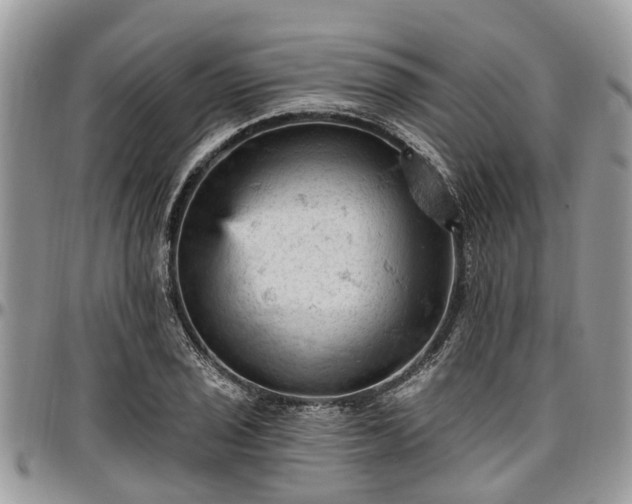 X0000096951029200802151232