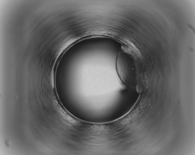 X0000096951036200802151232