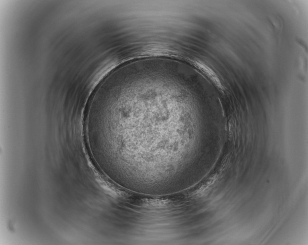 X0000096951039200802151233