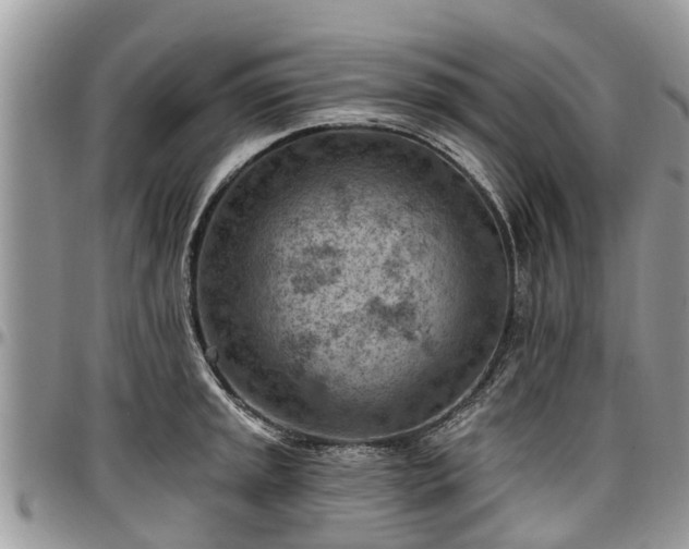X0000096951045200802151233