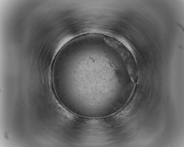 X0000096951048200802151233
