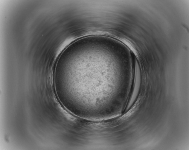 X0000096951054200802151233