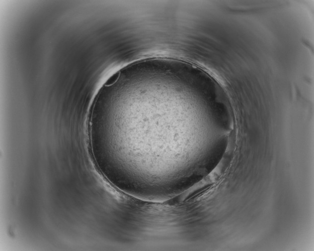 X0000096951056200802151233