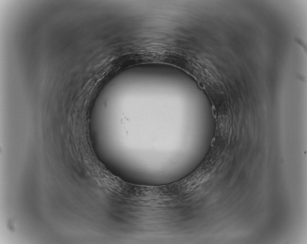 X0000096951057200802151232