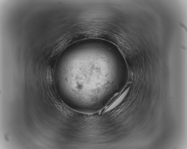 X0000096951058200802151232