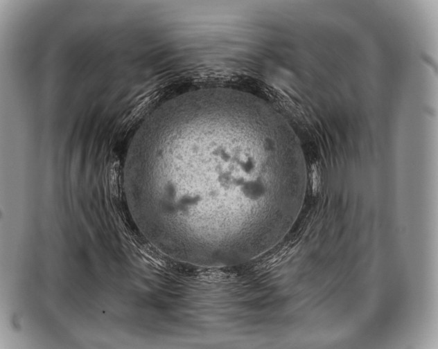 X0000096951059200802151232