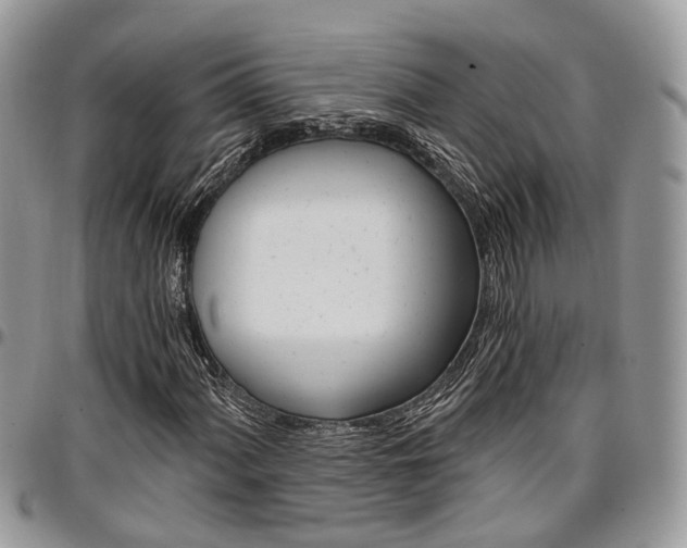 X0000096951060200802151232