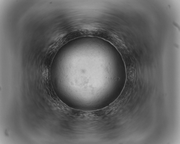 X0000096951061200802151232
