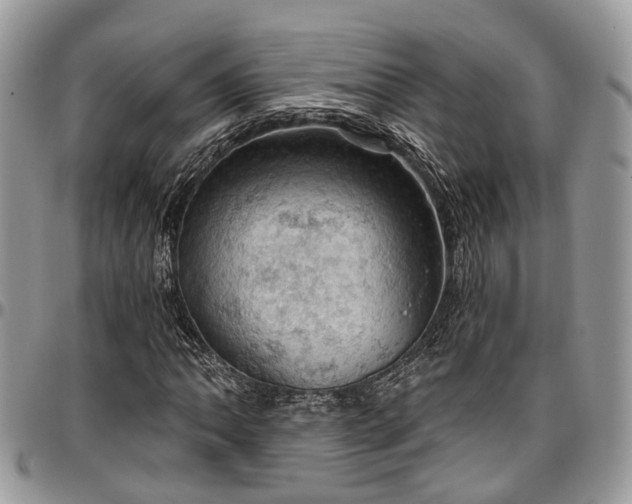 X0000096951062200802151232
