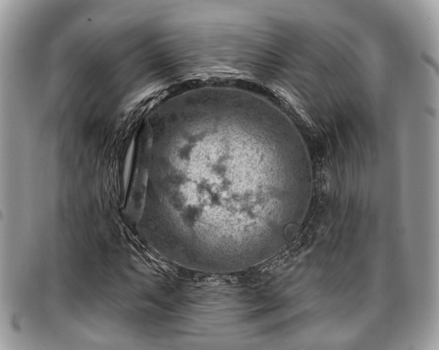 X0000096951063200802151232
