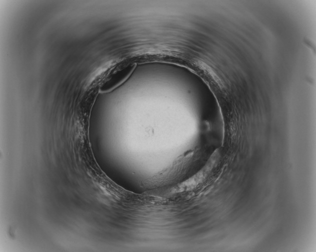 X0000096951064200802151232
