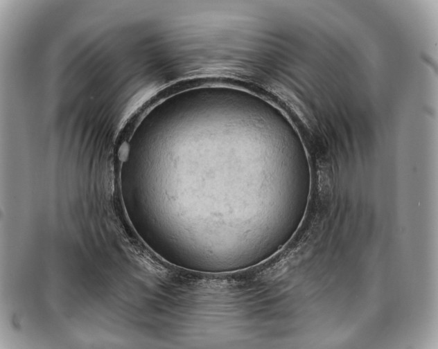 X0000096951069200802151232