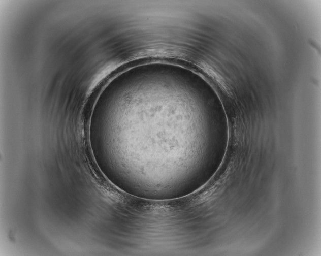 X0000096951070200802151232