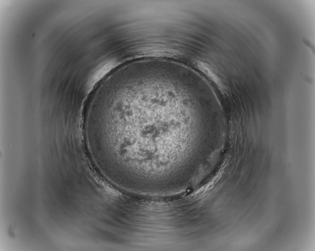 X0000096951071200802151232