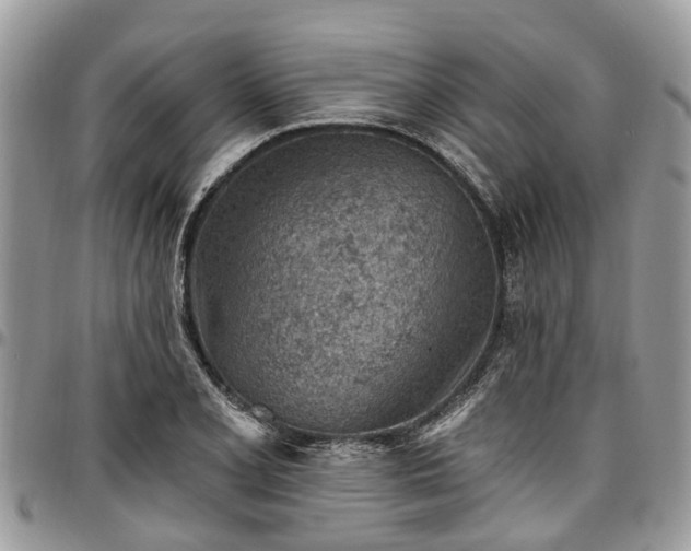X0000096951077200802151232