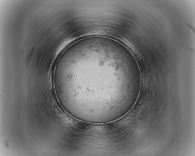 X0000096951078200802151232