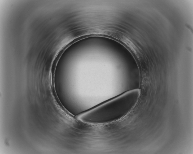 X0000096951080200802151232
