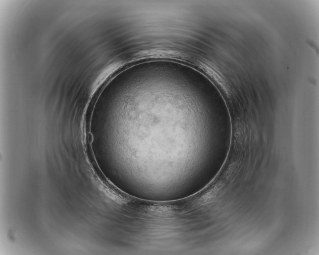 X0000096951082200802151232