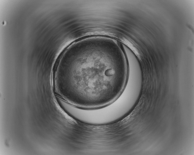 X0000096951084200802151232
