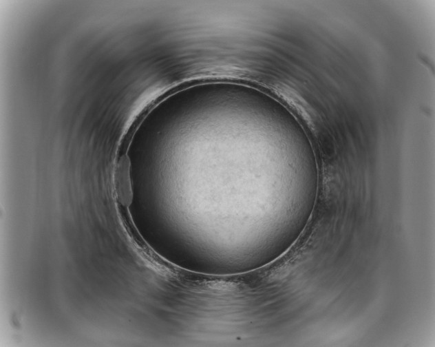 X0000096951085200802151232