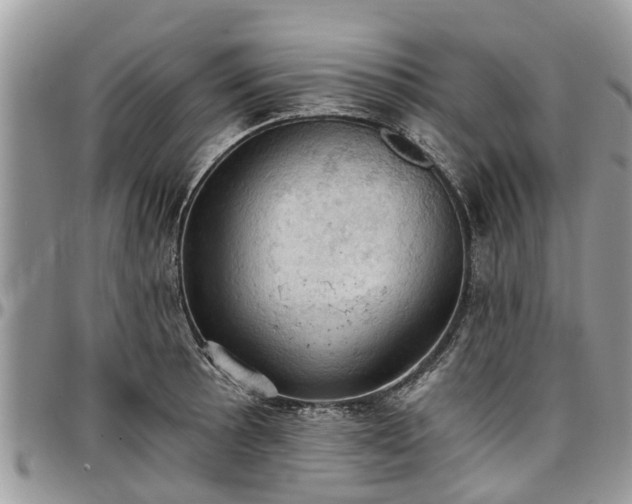 X0000096951089200802151232