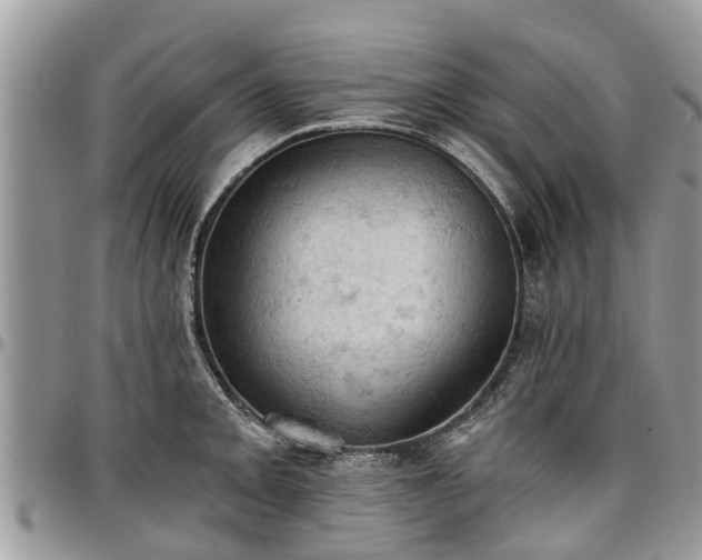 X0000096951093200802151231