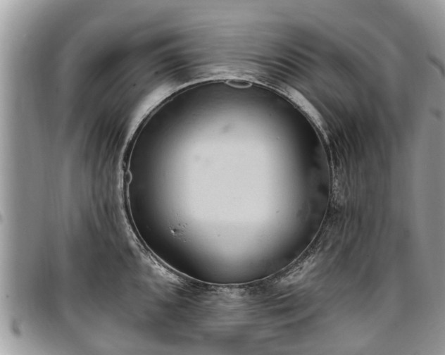 X0000096951096200802151231