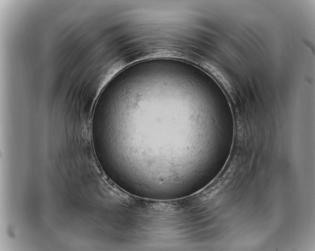 X0000096951097200802151231