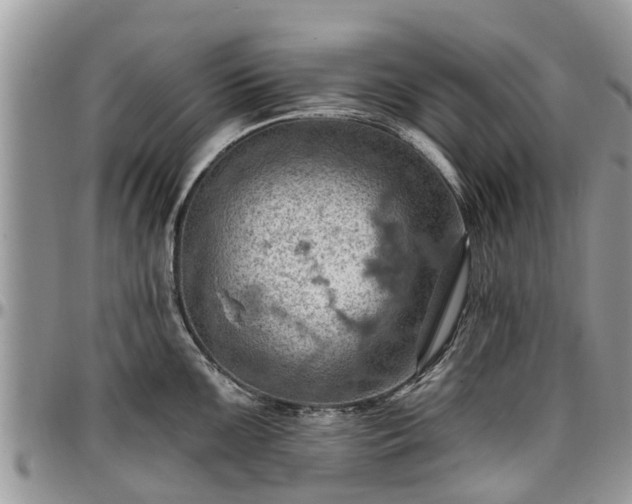 X0000096951099200802151231