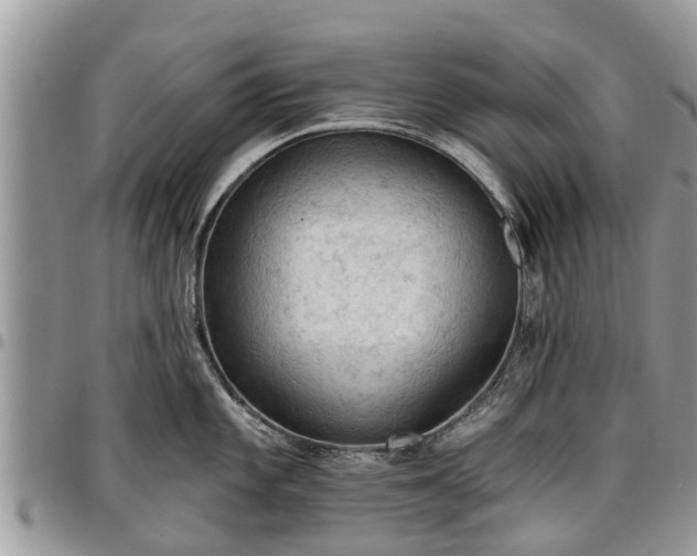 X0000096951101200802151231