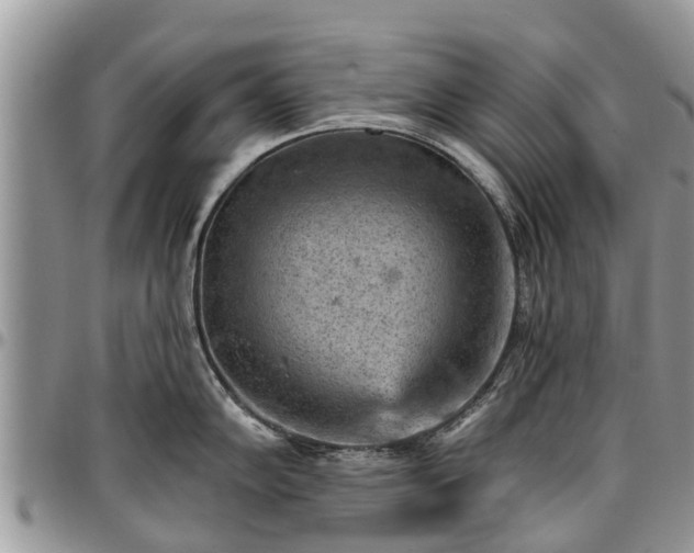 X0000096951102200802151231
