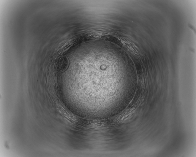 X0000096951105200802151231