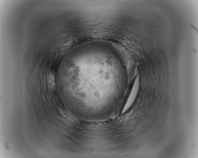 X0000096951106200802151231