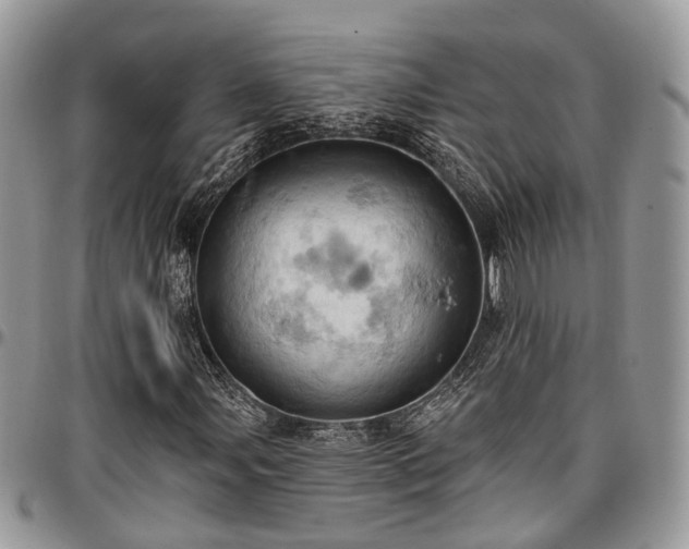 X0000096951107200802151231