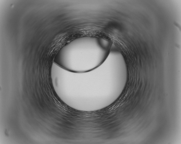 X0000096951108200802151231