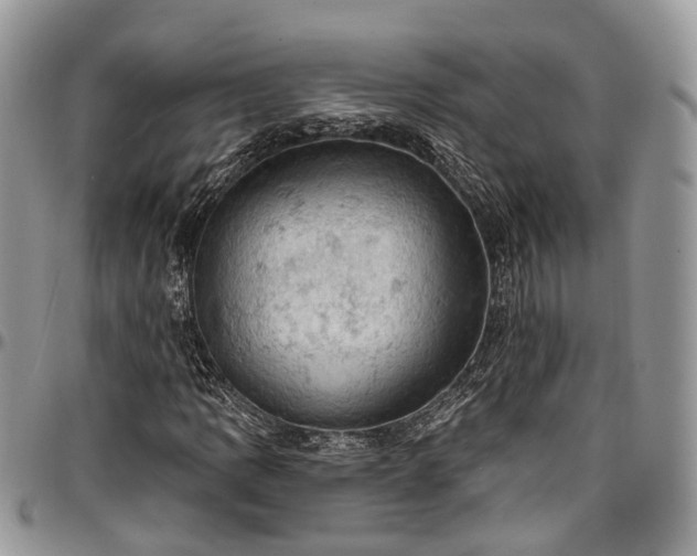 X0000096951109200802151231