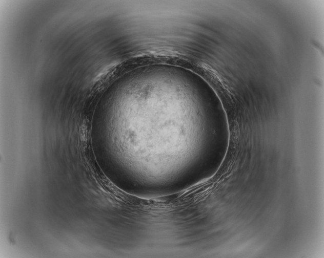 X0000096951110200802151231
