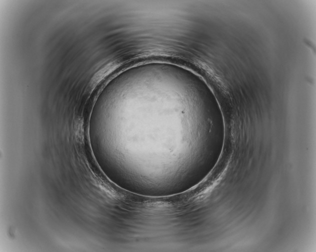X0000096951113200802151231