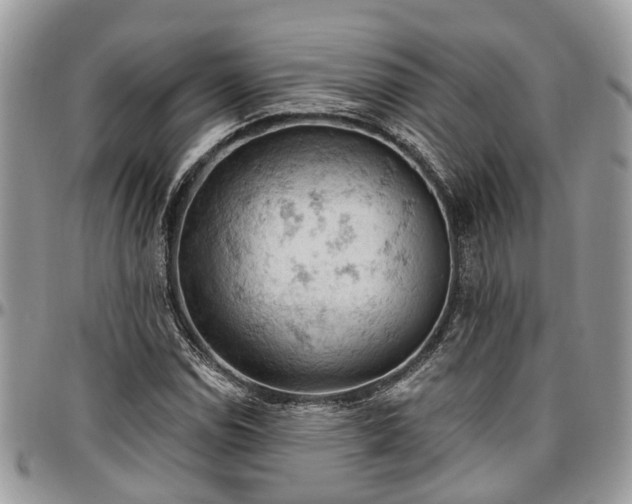 X0000096951114200802151231