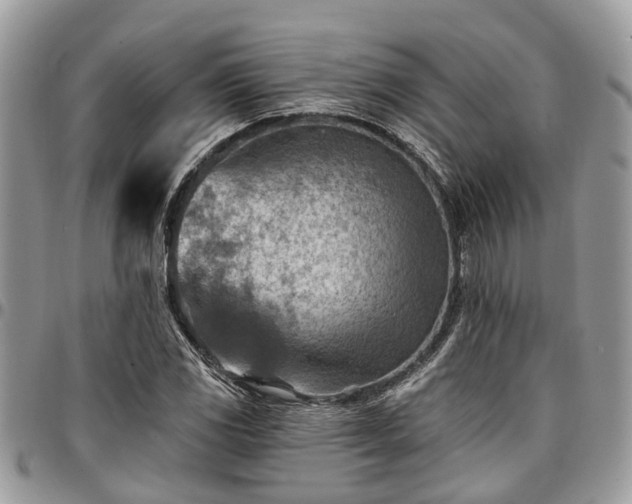X0000096951117200802151231