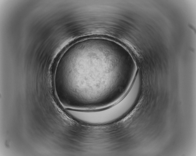 X0000096951118200802151231