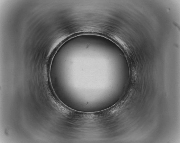 X0000096951120200802151231
