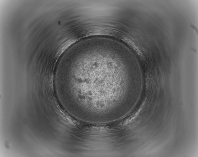 X0000096951121200802151231