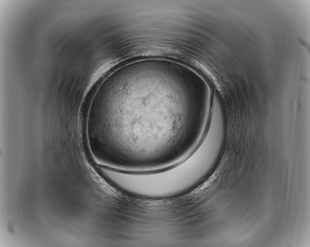 X0000096951122200802151231
